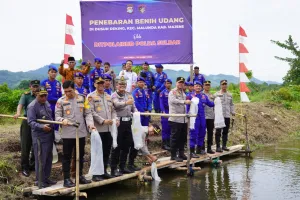 Kapolda Sulbar Tebar Benih Udang di Malunda: Aksi Nyata untuk Ketahanan Pangan dan Kesejahteraan Masyarakat