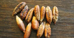 Sering Dibuang! Ternyata Biji Kurma Memiliki Segudang Nutrisi yang Baik untuk Kesehata