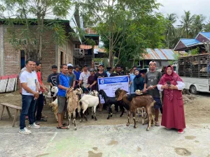 DinasTPHP Sulbar Distribusikan Bantuan Ternak Kambing untuk Dukung Program Gubernur dan Wagub Sulbar