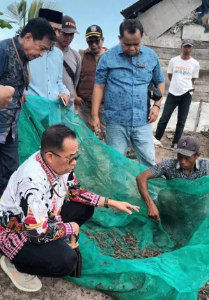 Tim Ahli Gubernur Sulbar Tinjau Transmigrasi Tanjung China, Dorong Pengembangan Tambak dan Pemberdayaan Ekonomi Pesisir