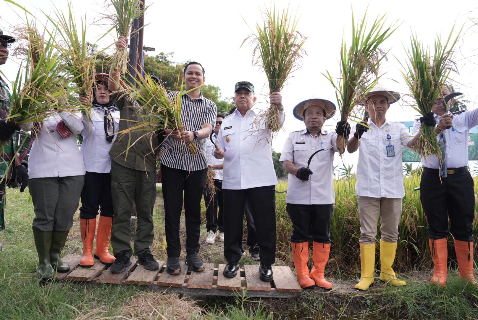 Pesta Panen Padi di Kalukku, Wagub Sulbar Targetkan Produktivitas Padi Setara Jawa, Fokus Perbaikan Irigasi
