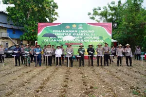 Kapolda Sulbar Pimpin Penanaman Jagung Serentak, Perkuat Komitmen Swasembada Pangan 2025