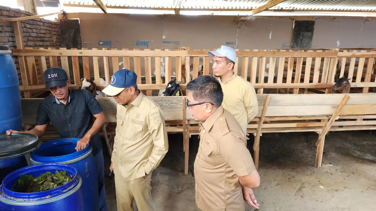 Inspektorat Sulbar Lakukan Monitoring Penyaluran Bantuan Kambing di Polman
