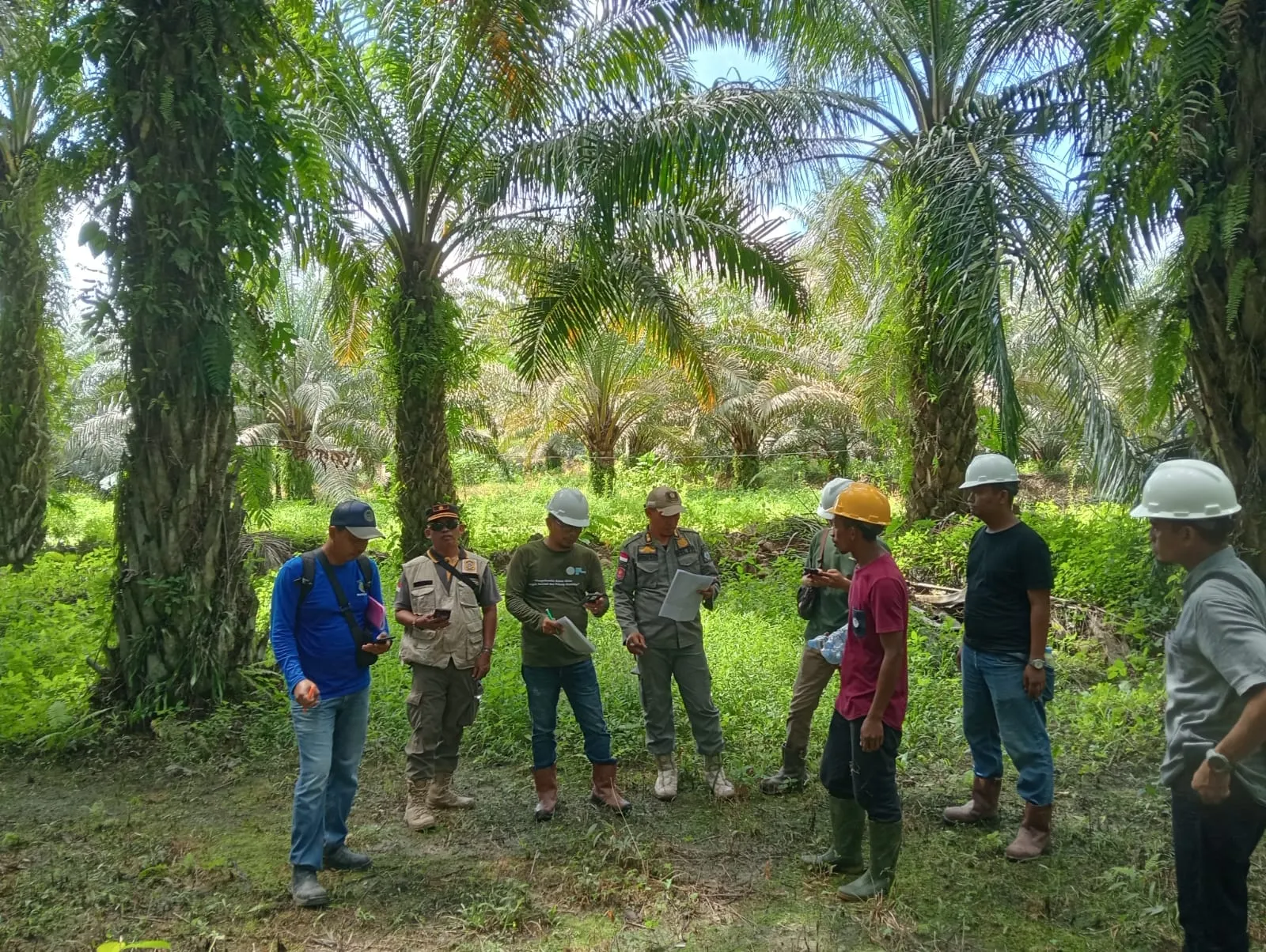 Tindaklanjuti Aduan Warga, Tim Terpadu Pemprov Sulbar Tinjau Dugaan Pencemaran Limbah Perusahaan Sawit di Baras Pasangkayu