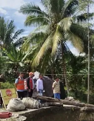 Kepala Dinas PUPR Sulbar Kunjungi Pembangunan Jembatan di Bambalamotu : Masuk Pekan ke IX, Progres Capai 22 Persen