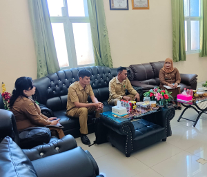 Tingkatkan SPBE dan IPP, Tim Evaluasi Biro Organisasi Kaji Kinerja Pelayanan RSUD Sulbar